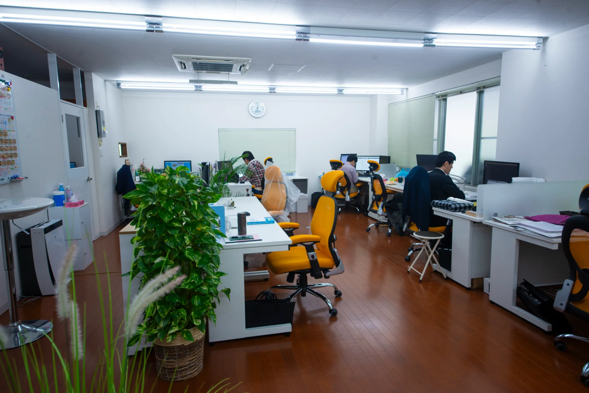 企業型DCを導入した、株式会社ジーネックスで働く社員の様子